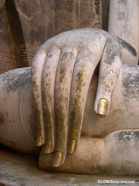 Postcard Buddha's Hand