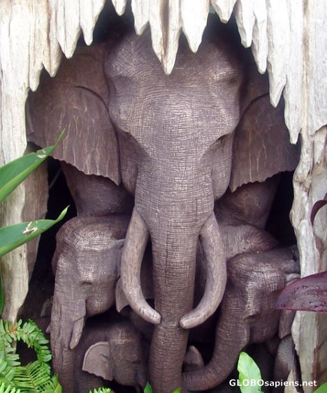 Postcard Native elephant carving