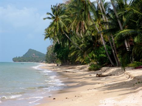 Postcard Coconut Beach looking East