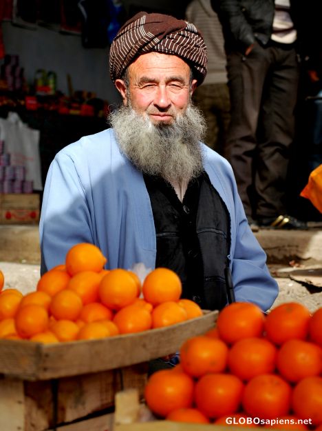 Postcard Selling oranges