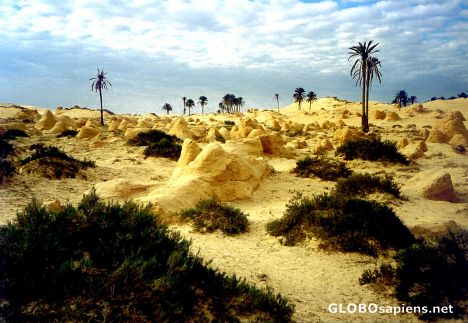 Postcard Tunisian Oasis: One hour earlier