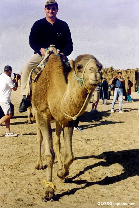 Postcard Rudi on a Camel