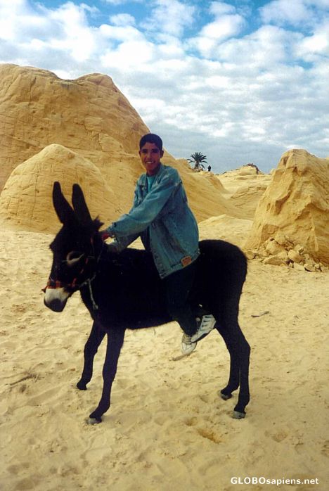 Postcard Boy on a Donkey