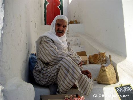 Postcard Tunisia - Sidi Bou Said