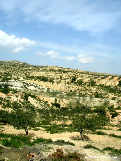 Postcard Hills outside Hammamet