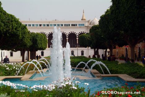 Postcard Tunis (TN) - Place du Gouvernment - fountain