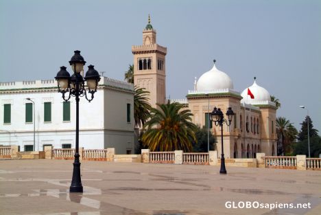 Postcard Tunis (TN) - the elegant part