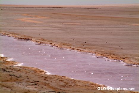 Postcard Chott el Jerid (TN) - pink water