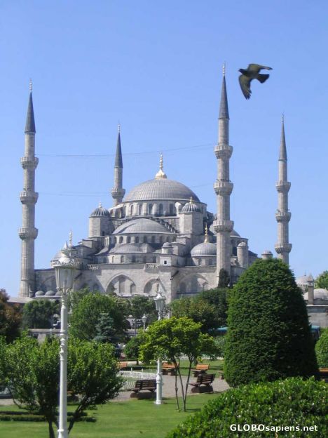 Postcard Sultan Ahmet (Blue) Mosque