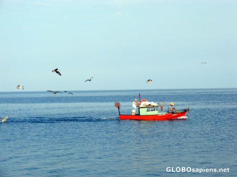 Postcard fishermen and sea gulls