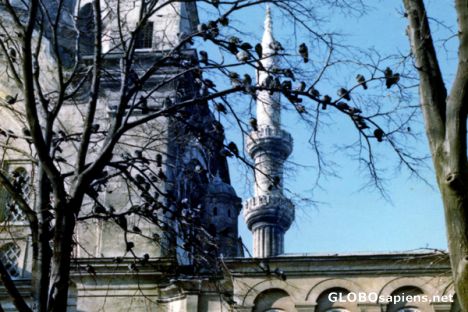 Postcard Istanbul minaret