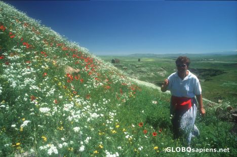 Postcard Spring in East Turkey