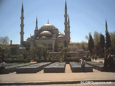 Postcard mosques of istanbul