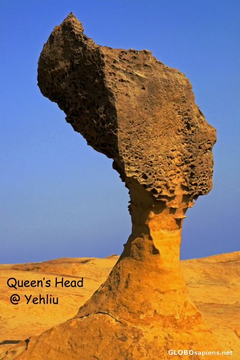 Postcard Queen's Head