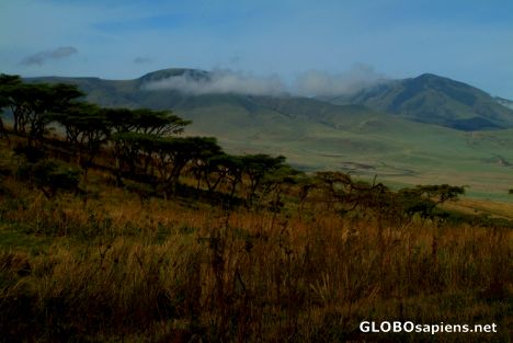 Postcard Tanzania, Ngorongoro - near the crater