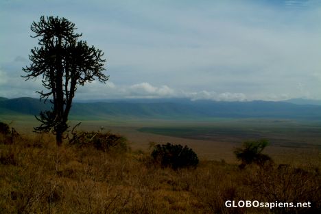 Postcard Tanzania, Ngorongoro - the view of the crater