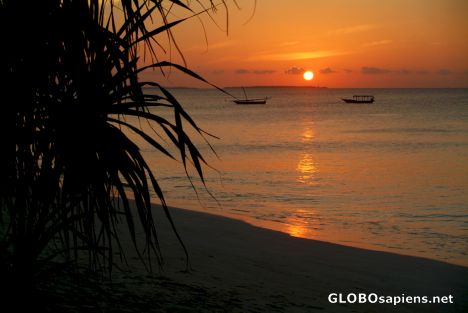 Postcard Zanzibar, Nungwi - sunset