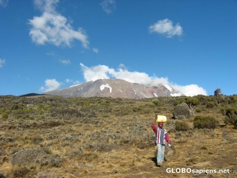 Postcard View to Kilimanjaro from Shira