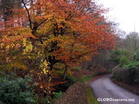 Postcard England's autumn colours