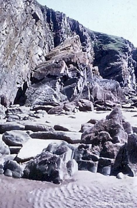 A Dorset fossil beach