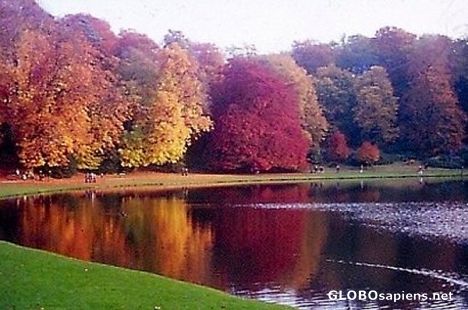 Postcard Autumn colours - Studely Royal