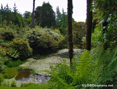 Postcard Lost Gardens of Heligan 2