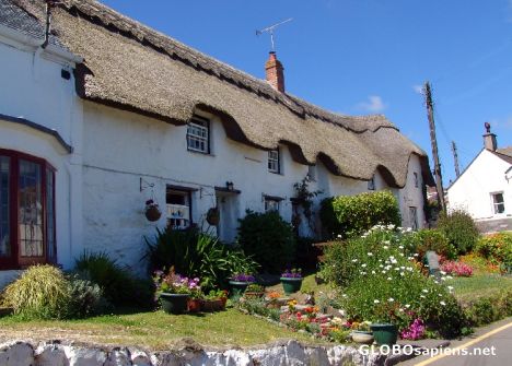Postcard Coverack Thatched Cottages, Cornwall