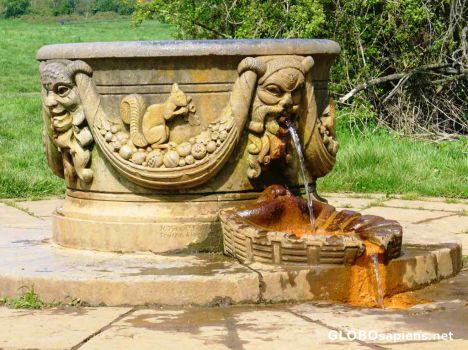 Postcard Roman Fountain
