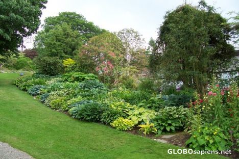Postcard Holehird Gardens - part of upper garden