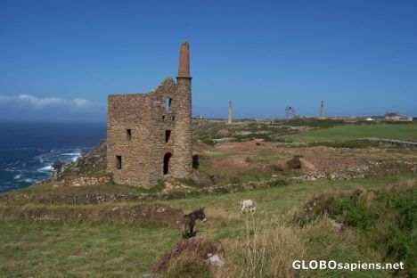 Postcard West Wheal Owles - with donkeys