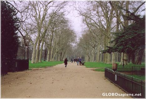 Postcard Kensington Gardens