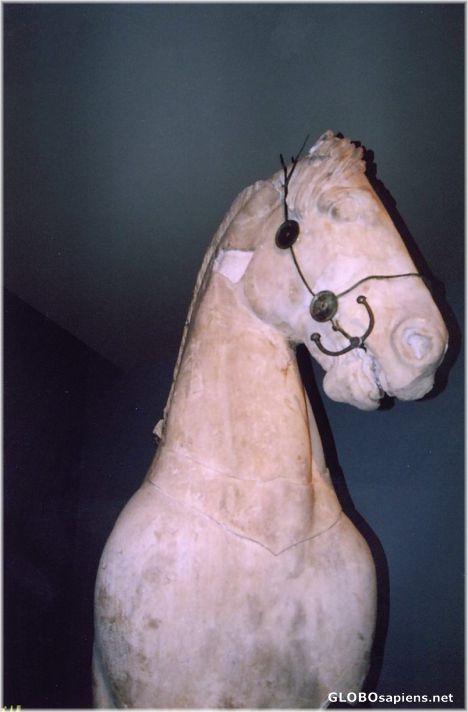 Postcard Colossal Horse from the Mausoleum of Halikarnassus