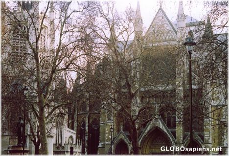 Postcard Westminster Abbey through the trees