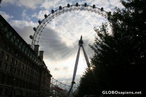 Postcard London Eye