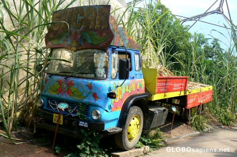 Postcard Sugar cane truck