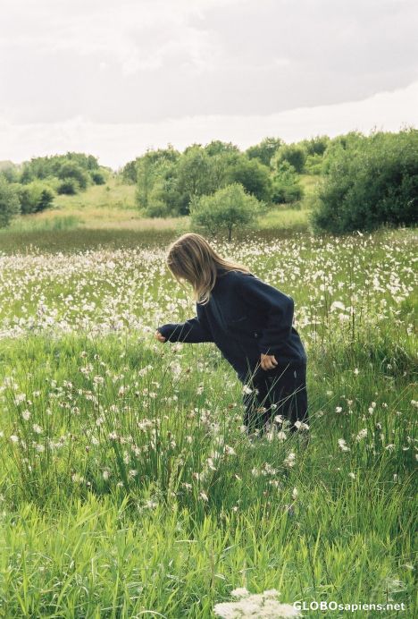 Postcard Girl picking flowers