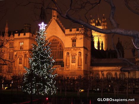 Postcard Houses of Parliament at Christmas