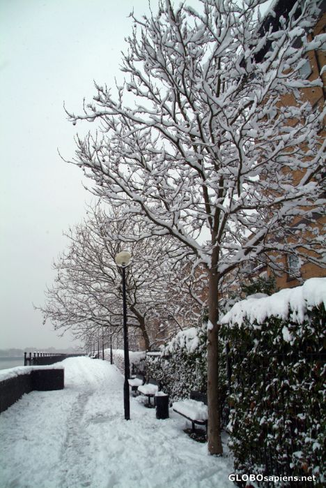 Postcard London under snow - Isle of Dogs' Riverbank