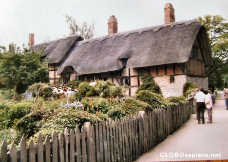 Postcard Shakespear  Anne Hathaway's cottage