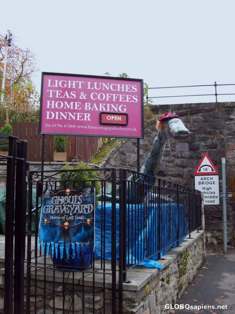 Postcard The Loch Ness Monster!