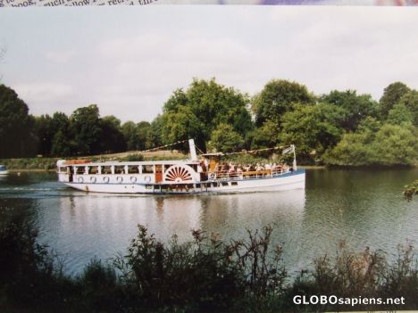 Postcard Slow boat to Hampton Court