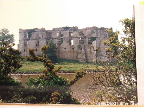 Postcard Carew castle