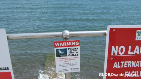 Postcard Teignmouth. warning sign!