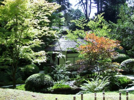 Postcard Japanese garden Tatton park
