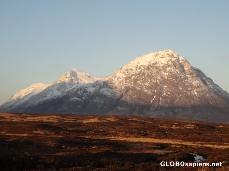 The Great Herdsman of Etive