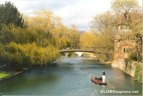 Postcard Punting in Cambridge