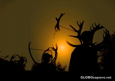 Postcard Horn Dancers silhouetted against the morning sun