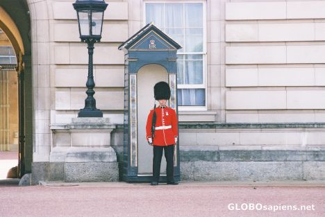 Postcard Guard at Buckingham Palace