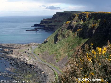 Postcard Cliffs of the Giant's Causeway, No. Ireland