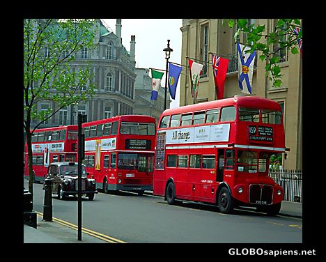 Postcard London buses